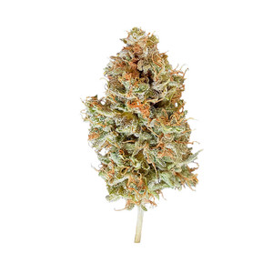 Acquista I Semi Di Cannabis Di Easy Bud - Royal Queen Seeds