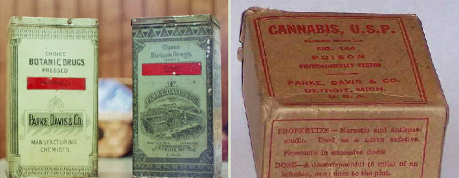 Packaging vintage di cannabis di Parke, Davis & Co. del XIX secolo. Mostra il primo packaging farmaceutico prima della regolamentazione della cannabis.