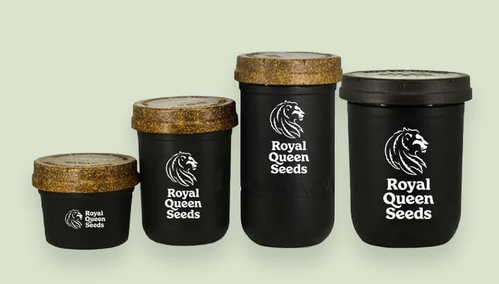 Contenitori moderni di Royal Queen Seeds in diverse dimensioni. Illustra come il packaging della cannabis sia evoluto per preservare meglio la qualità del prodotto.