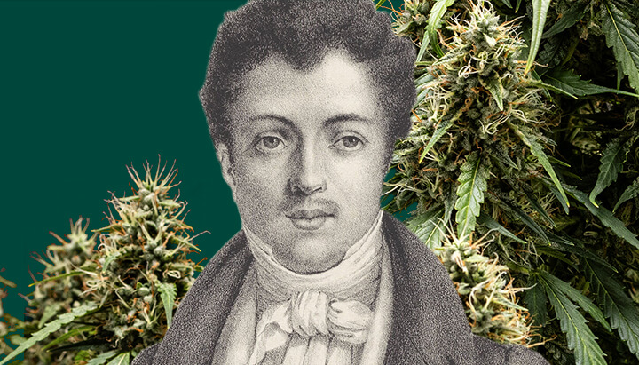 Ritratto in bianco e nero di Alexandre Dumas con uno sfondo verde, circondato da piante di cannabis intorno allo scrittore iconico.