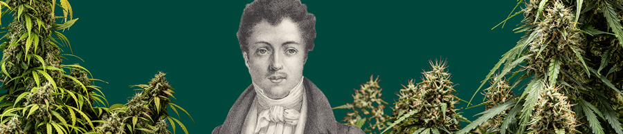 Ritratto in bianco e nero di Alexandre Dumas con uno sfondo verde, circondato da piante di cannabis intorno allo scrittore iconico.