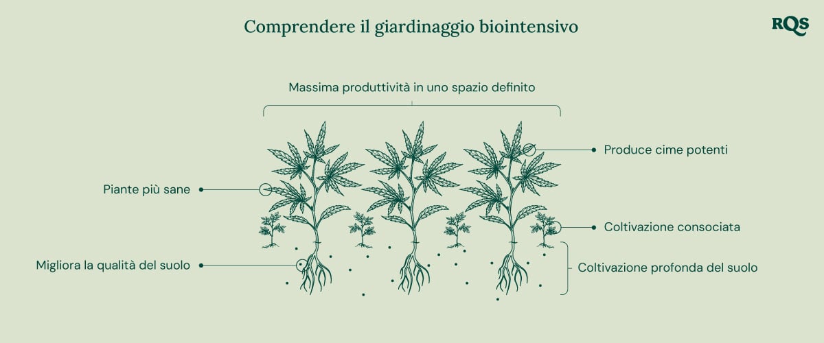 Illustrazione del giardinaggio biointensivo, che mostra massima produttività, piante più sane, gemme potenti, piantagione associata, coltivazione profonda e miglioramento della qualità del suolo.