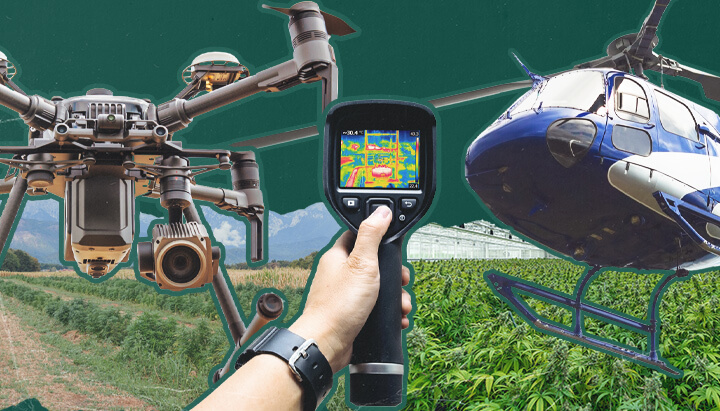 Un drone che cattura immagini aeree di un'operazione di coltivazione di cannabis all'aperto, illustrando le sfide e le tecniche di sorveglianza aerea utilizzate per rilevare la coltivazione illecita di cannabis in luoghi rurali e nascosti.