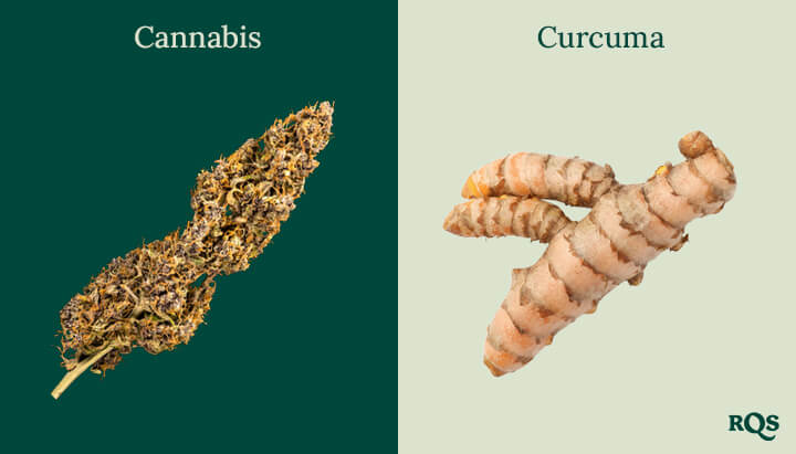 Cannabis and turmeric