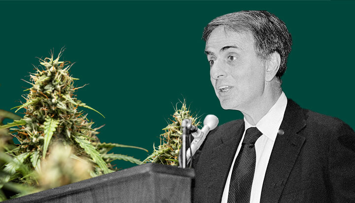 Un ritratto dettagliato di Carl Sagan mentre parla in un microfono, con uno sfondo verde e piante di cannabis vibranti e lussureggianti.