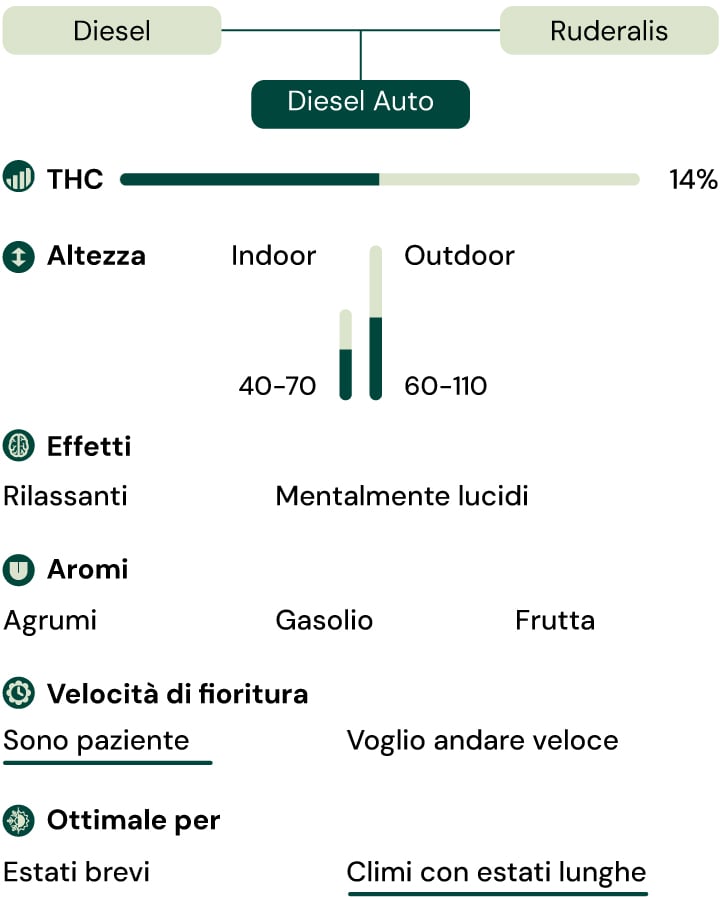 Diesel Auto Key Characteristics