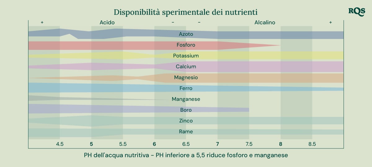 Grafico a barre che illustra come il pH del suolo influisce sulla disponibilità di nutrienti per le piante. L'asse X varia da pH 4,5 a 8,5, mentre l'asse Y rappresenta la disponibilità relativa dei nutrienti. I nutrienti mostrati includono azoto, fosforo, potassio, calcio, magnesio, ferro, manganese, boro, zinco e rame.