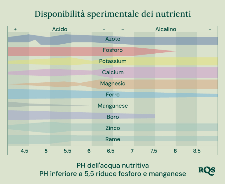 Grafico a barre che illustra come il pH del suolo influisce sulla disponibilità di nutrienti per le piante. L'asse X varia da pH 4,5 a 8,5, mentre l'asse Y rappresenta la disponibilità relativa dei nutrienti. I nutrienti mostrati includono azoto, fosforo, potassio, calcio, magnesio, ferro, manganese, boro, zinco e rame.