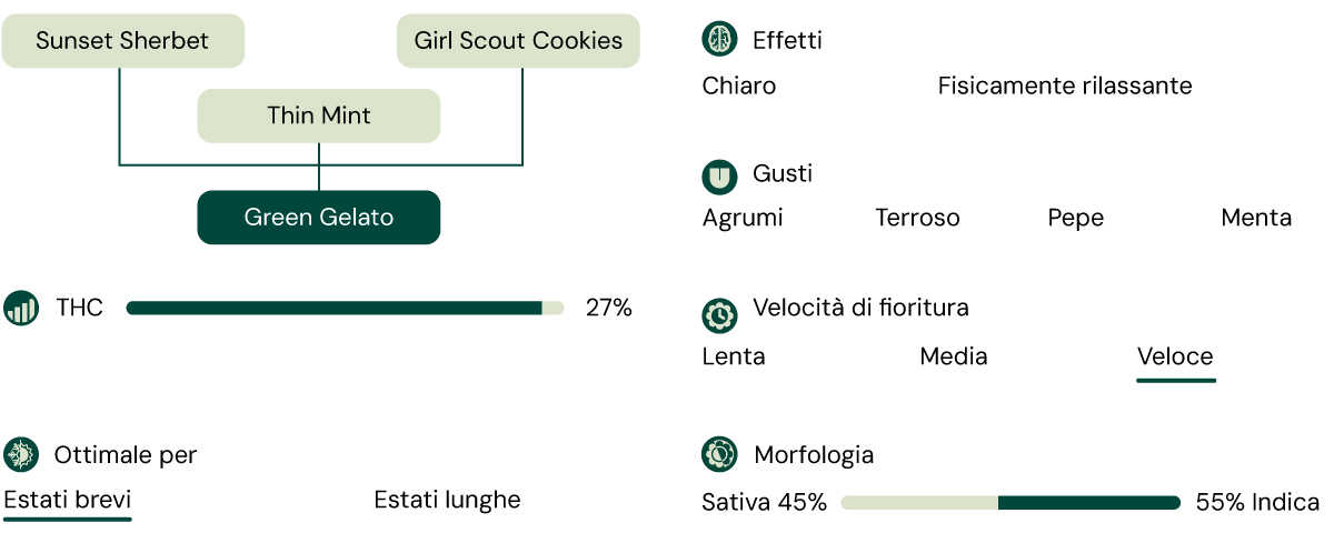 Green Gelato Characteristics