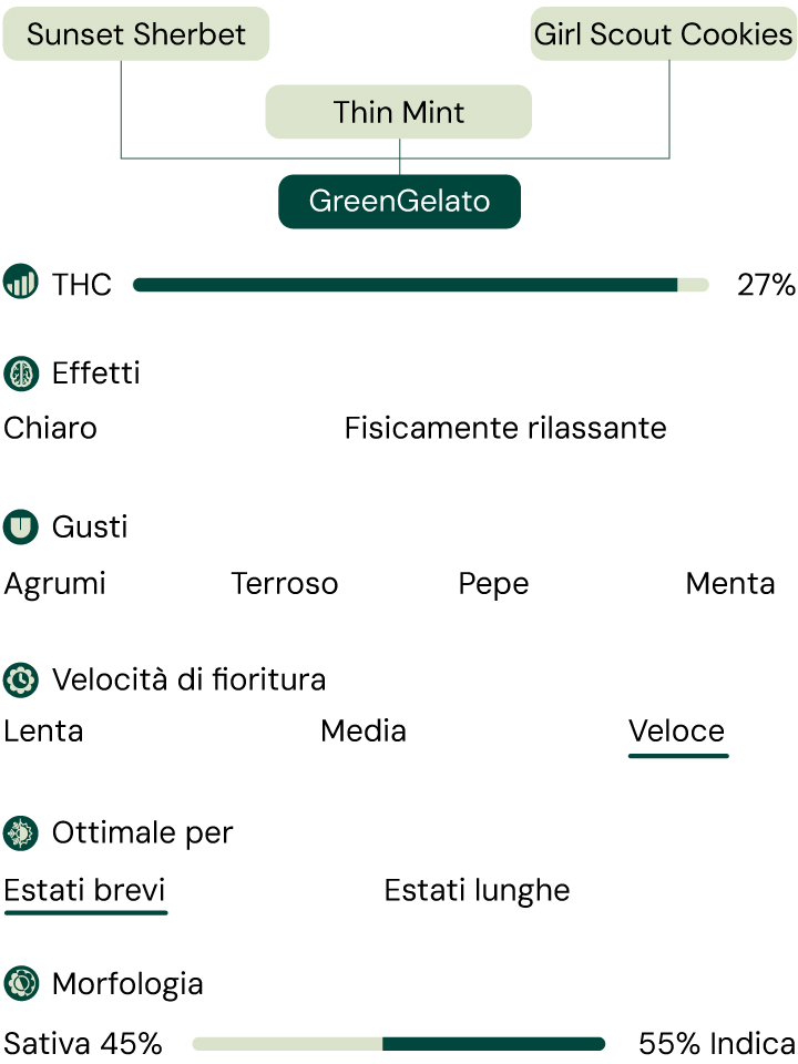 Green Gelato Characteristics