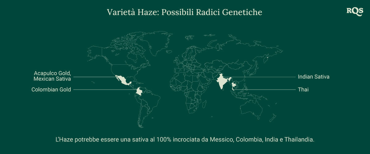 Mappa del mondo che mostra le possibili origini delle varietà di cannabis Haze, con linee che collegano Messico, Colombia, India e Thailandia a un punto centrale chiamato 