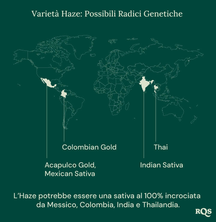 Mappa del mondo che mostra le possibili origini delle varietà di cannabis Haze, con linee che collegano Messico, Colombia, India e Thailandia a un punto centrale chiamato 