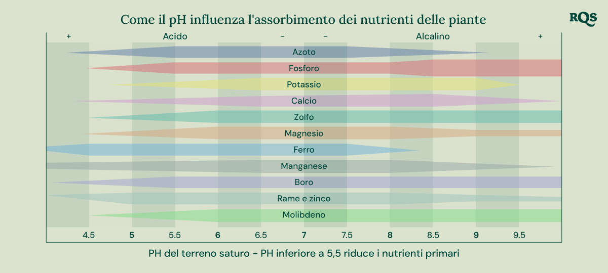 Grafico a barre che mostra come il pH del suolo (da 4,5 a 9,5) influisce sulla disponibilità di nutrienti come azoto, fosforo, potassio, calcio, zolfo, magnesio, ferro, manganese, boro, rame, zinco e molibdeno.