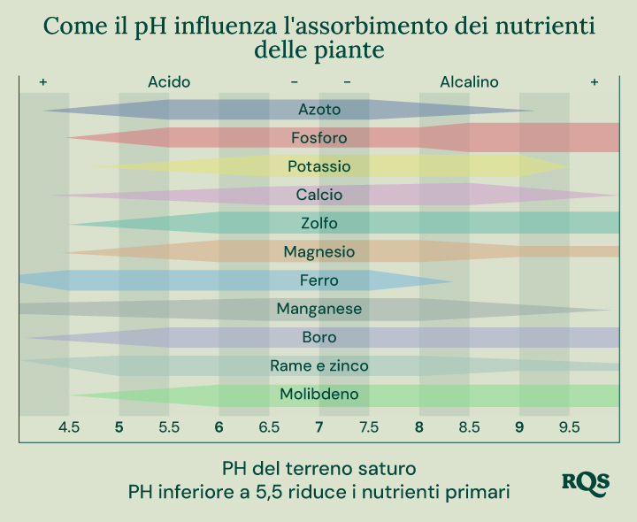 Grafico a barre che mostra come il pH del suolo (da 4,5 a 9,5) influisce sulla disponibilità di nutrienti come azoto, fosforo, potassio, calcio, zolfo, magnesio, ferro, manganese, boro, rame, zinco e molibdeno.