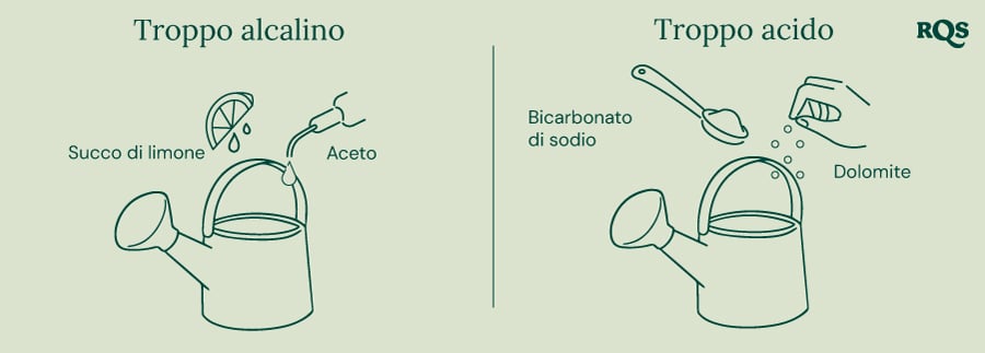 Guida per regolare il pH del suolo: limone e aceto per aumentare il pH ('Troppo alcalino'), bicarbonato di sodio e dolomite per abbassare il pH ('Troppo acido'). 