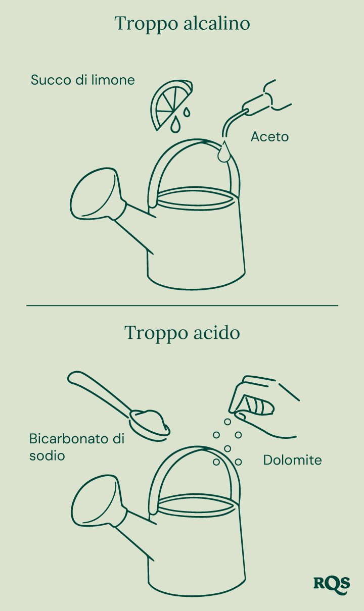 Guida per regolare il pH del suolo: limone e aceto per aumentare il pH ('Troppo alcalino'), bicarbonato di sodio e dolomite per abbassare il pH ('Troppo acido'). 