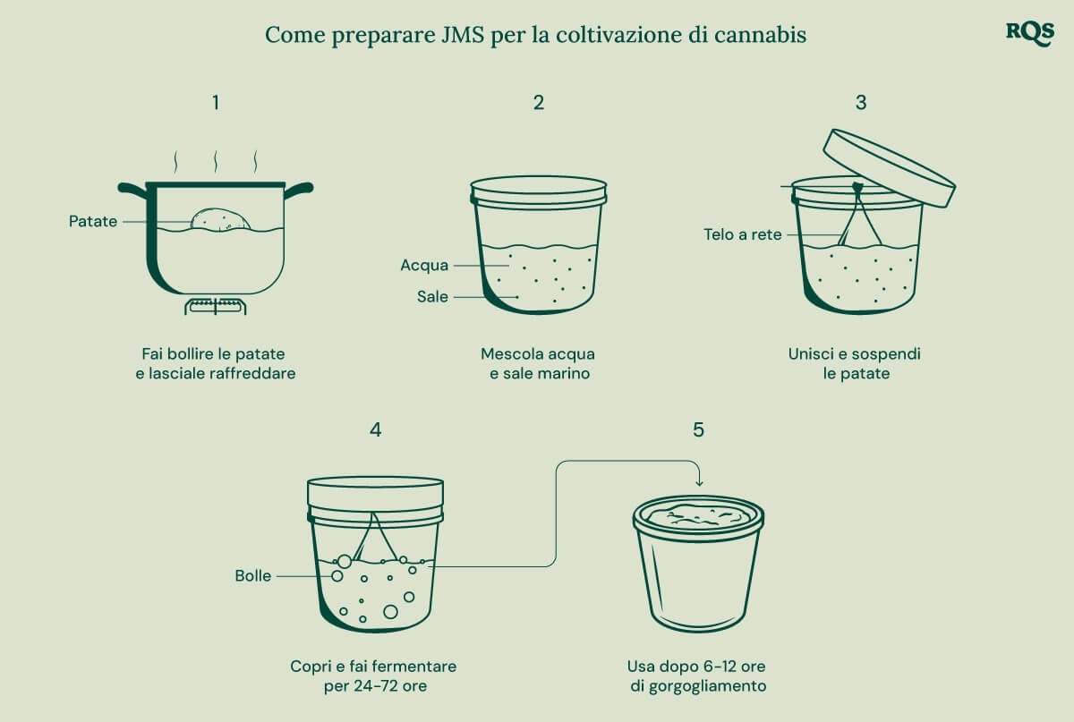 Una guida passo dopo passo su come creare un fertilizzante a base di patate per le piante di cannabis.