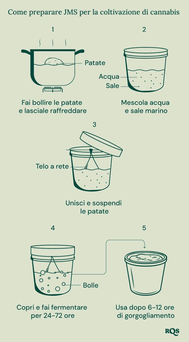 Una guida passo dopo passo su come creare un fertilizzante a base di patate per le piante di cannabis.