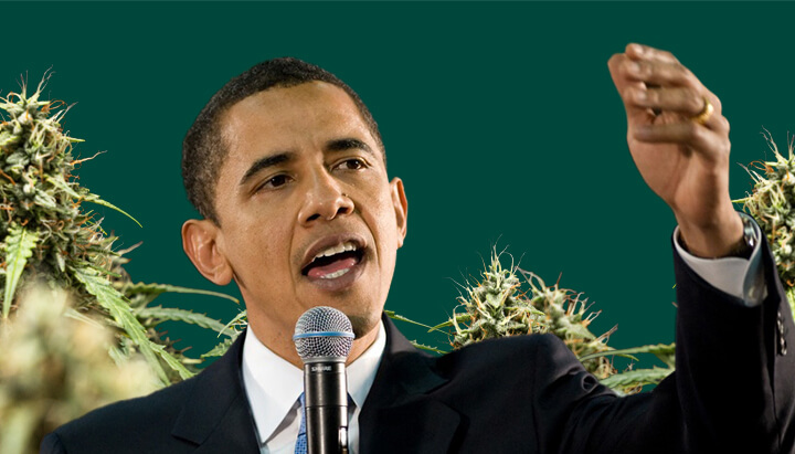 Un ritratto di Barack Obama che parla in un microfono con la mano alzata, su uno sfondo verde con piante di cannabis.