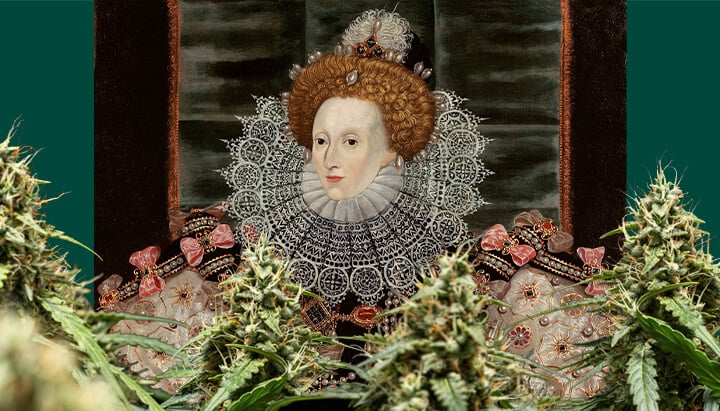 Un ritratto colorato della Regina Elisabetta I, centrato e incorniciato da piante di cannabis con gemme dense, su uno sfondo verde scuro.