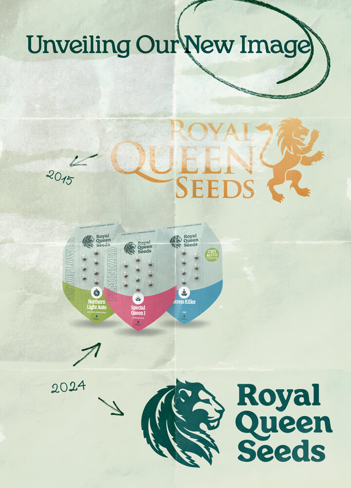 "Evoluzione del logo di Royal Queen Seeds dal 2015 al 2024, che mostra il logo originale dorato con un leone e il logo aggiornato in verde con un design moderno del leone. L'immagine include anche il nuovo packaging delle sementi dell'azienda.  "