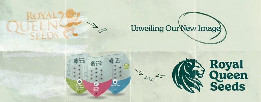 "Evoluzione del logo di Royal Queen Seeds dal 2015 al 2024, che mostra il logo originale dorato con un leone e il logo aggiornato in verde con un design moderno del leone. L'immagine include anche il nuovo packaging delle sementi dell'azienda.  "