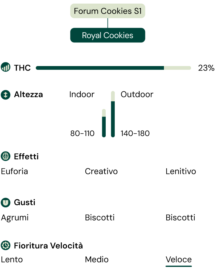 Royal Cookies Strain Characteristics