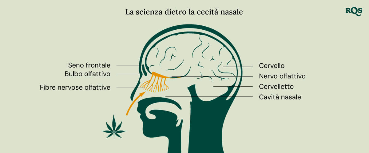 Illustrazione intitolata 