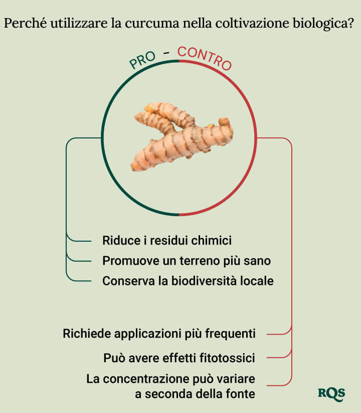 Tumeric for cultivation