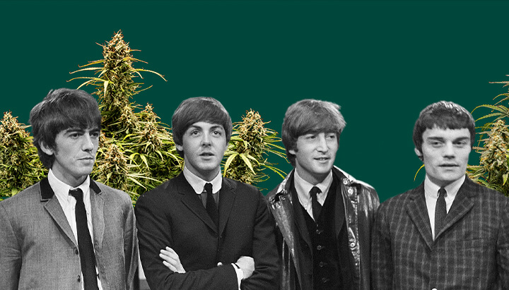 Foto in bianco e nero dei Beatles, con tutti e quattro i membri, piante di cannabis sullo sfondo e uno sfondo verde scuro, evidenziando la scena iconica.