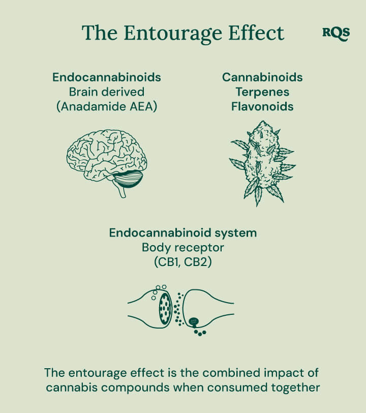 The entourage effect