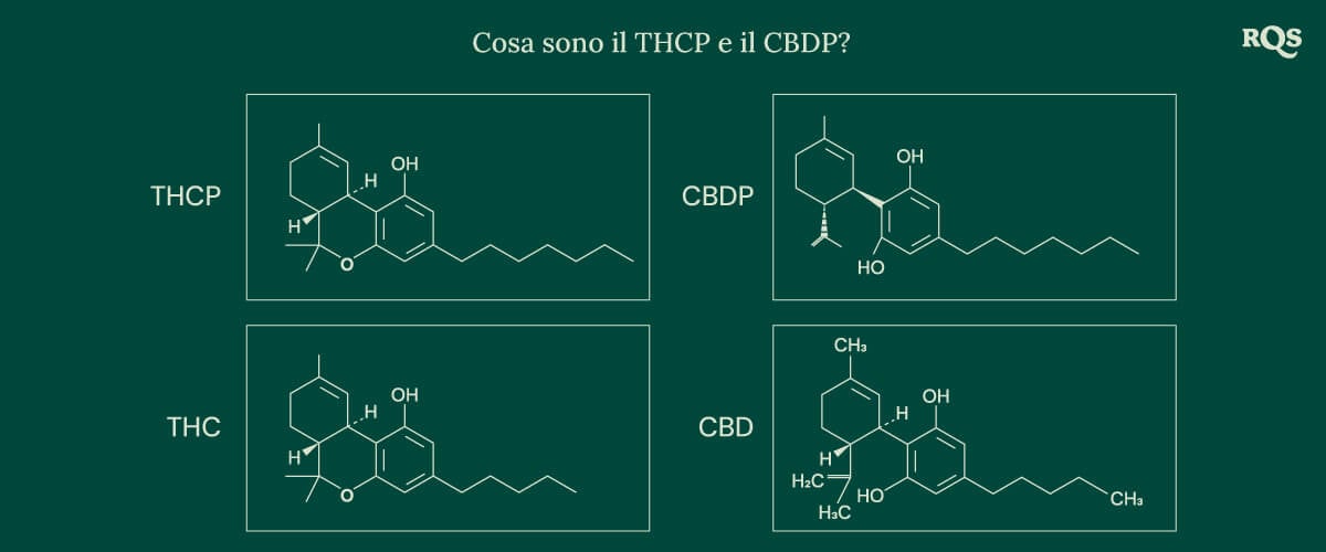 Strutture chimiche di quattro cannabinoidi: THCP, CBDP, THC e CBD, inclusi i recentemente scoperti THCP e CBDP.