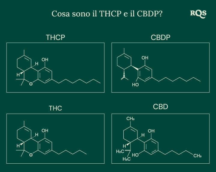 Strutture chimiche di quattro cannabinoidi: THCP, CBDP, THC e CBD, inclusi i recentemente scoperti THCP e CBDP.