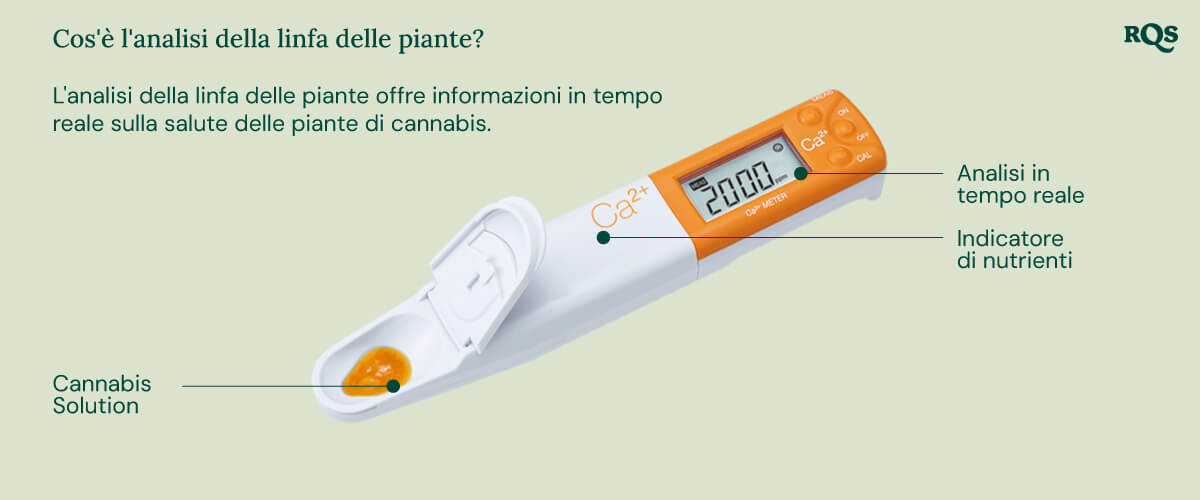 "Un analizzatore di linfa della pianta bianco con una paletta gialla viene utilizzato per misurare i livelli di nutrienti in una pianta di cannabis. Il dispositivo analizza i livelli di calcio, magnesio e potassio, aiutando i coltivatori a ottimizzare la nutrizione e la salute delle piante.  "