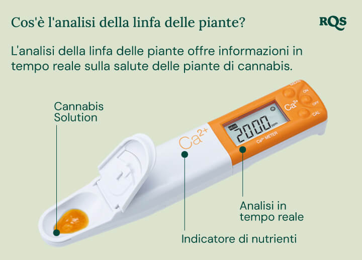 "Un analizzatore di linfa della pianta bianco con una paletta gialla viene utilizzato per misurare i livelli di nutrienti in una pianta di cannabis. Il dispositivo analizza i livelli di calcio, magnesio e potassio, aiutando i coltivatori a ottimizzare la nutrizione e la salute delle piante.  "