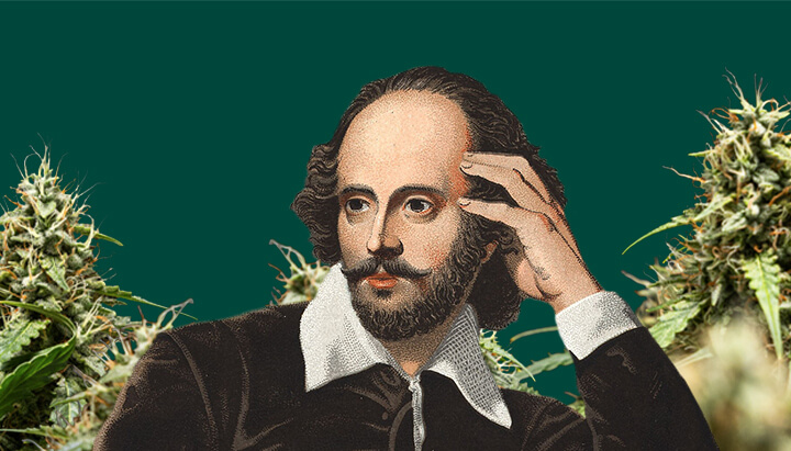 Ritratto di William Shakespeare, con la mano sulla tempia, circondato da piante di cannabis lussureggianti su uno sfondo verde scuro.