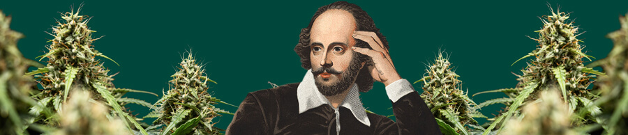 Ritratto di William Shakespeare, con la mano sulla tempia, circondato da piante di cannabis lussureggianti su uno sfondo verde scuro.