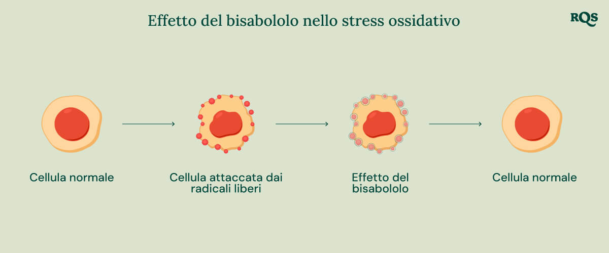 Infografica sull’Effetto del Bisabololo nello Stress Ossidativo, che illustra il ruolo del bisabololo nella salute cellulare.