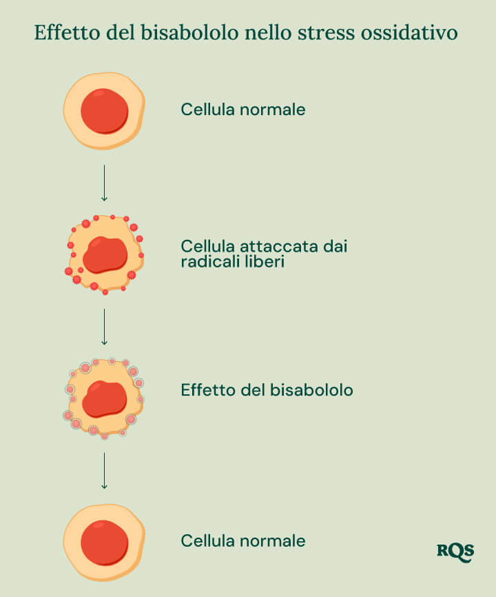 Infografica sull’Effetto del Bisabololo nello Stress Ossidativo, che illustra il ruolo del bisabololo nella salute cellulare.