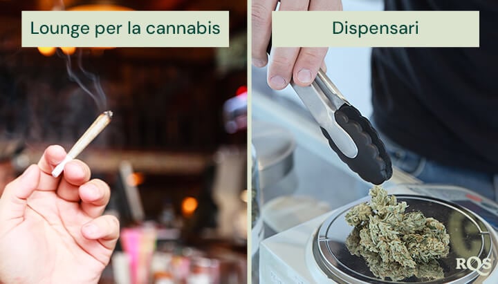 Un'immagine divisa mostra una mano che tiene un joint acceso in un lounge di cannabis a sinistra, e una persona che usa pinze per scegliere cannabis da un barattolo in un dispensario a destra.