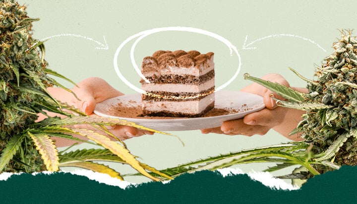 Collage che mostra una persona che tiene un piatto di tiramisù e un primo piano di una pianta di cannabis, evidenziando un concetto di abbinamento unico.