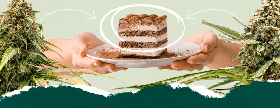 Collage che mostra una persona che tiene un piatto di tiramisù e un primo piano di una pianta di cannabis, evidenziando un concetto di abbinamento unico.