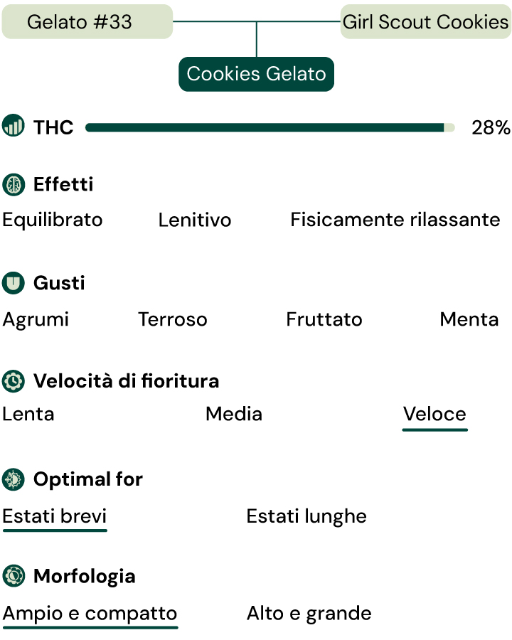 Cookies Gelato Key Attributes