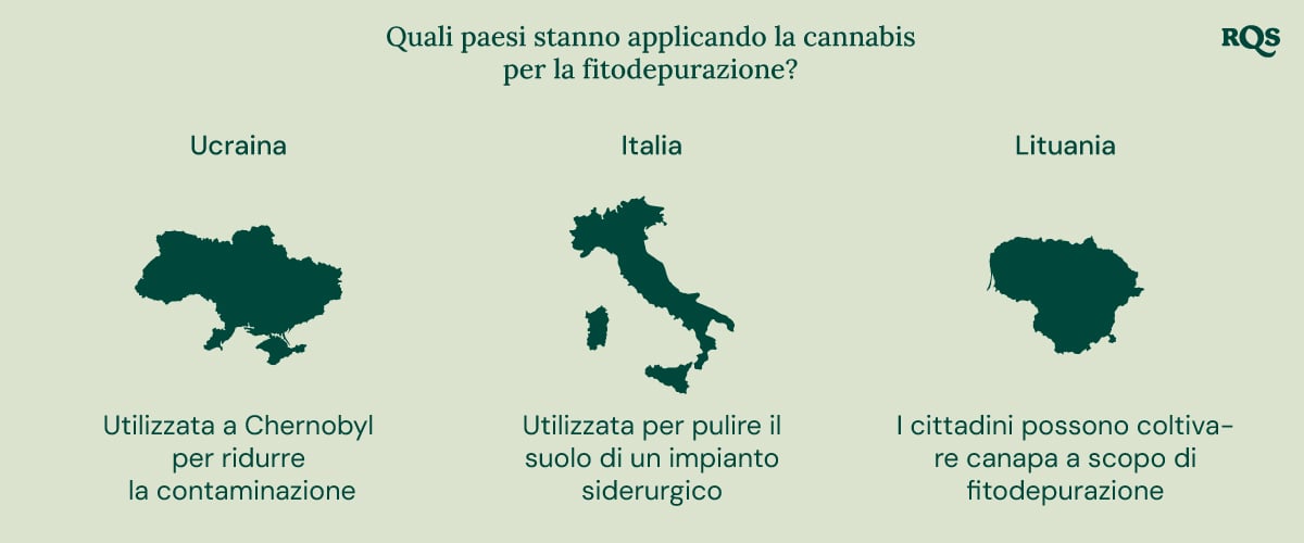 Infografica dei paesi che utilizzano la cannabis per la fitorimediazione: Ucraina (Chernobyl), Italia (impianto siderurgico) e Lituania (coltivazione di canapa).