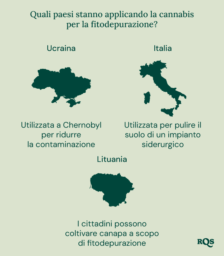 Infografica dei paesi che utilizzano la cannabis per la fitorimediazione: Ucraina (Chernobyl), Italia (impianto siderurgico) e Lituania (coltivazione di canapa).