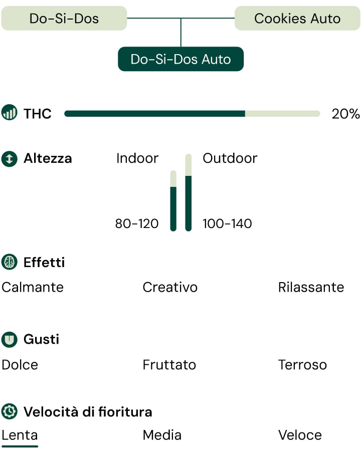 Do-Si-Dos Characteristics