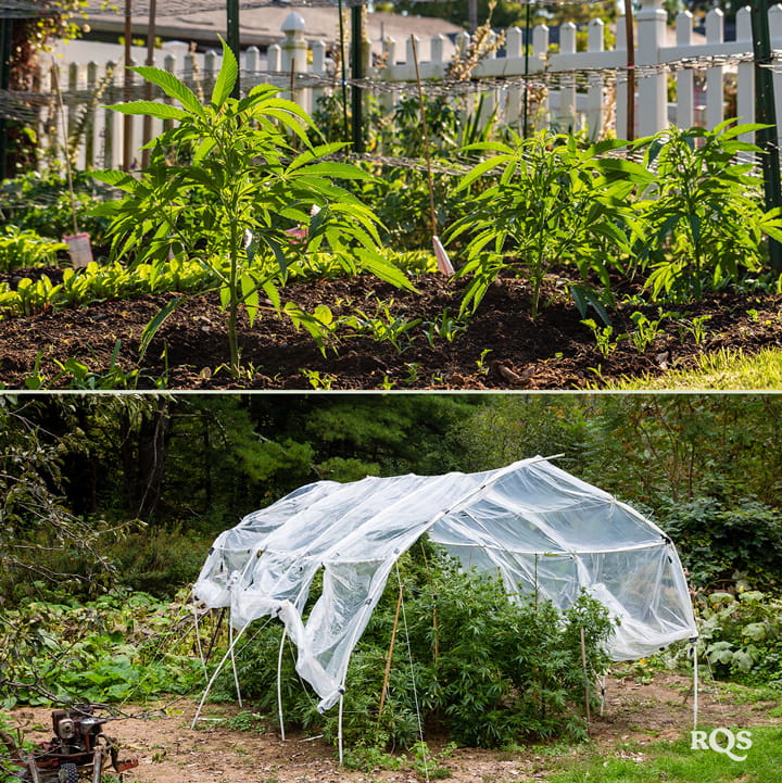 Due immagini: A sinistra giovani piante in un giardino, e a destra un giardino con un baldacchino protettivo in rete.