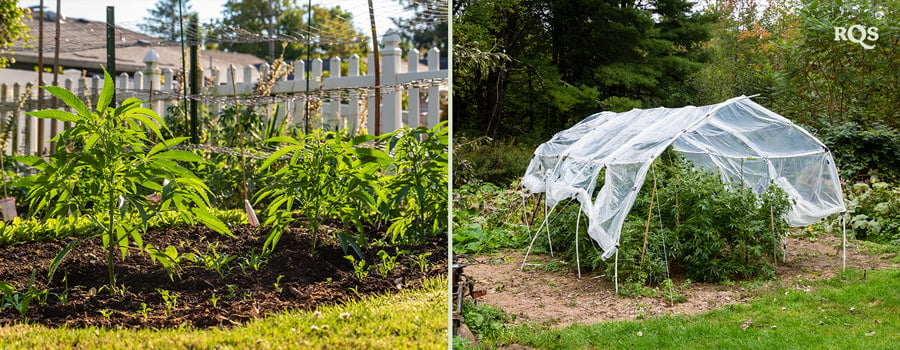 Due immagini: A sinistra giovani piante in un giardino, e a destra un giardino con un baldacchino protettivo in rete.