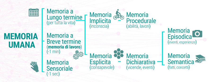 In Che Modo Il CBD Influisce Sulla Nostra Memoria? - RQS Blog