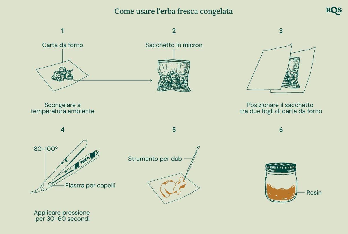 Guida illustrata che mostra come utilizzare la cannabis fresca congelata per l'estrazione del rosin. I passaggi includono scongelare su carta da forno, mettere in un sacchetto di micron, utilizzare una piastra per capelli a 80-100°C per 30-60 secondi e raccogliere il rosin con uno strumento da dab.